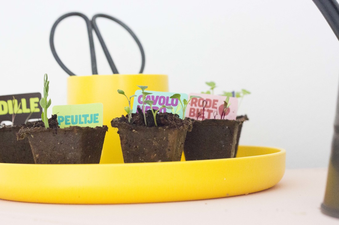 办公辅件|办公文具|办公家具|设计师家具|O-Tidy